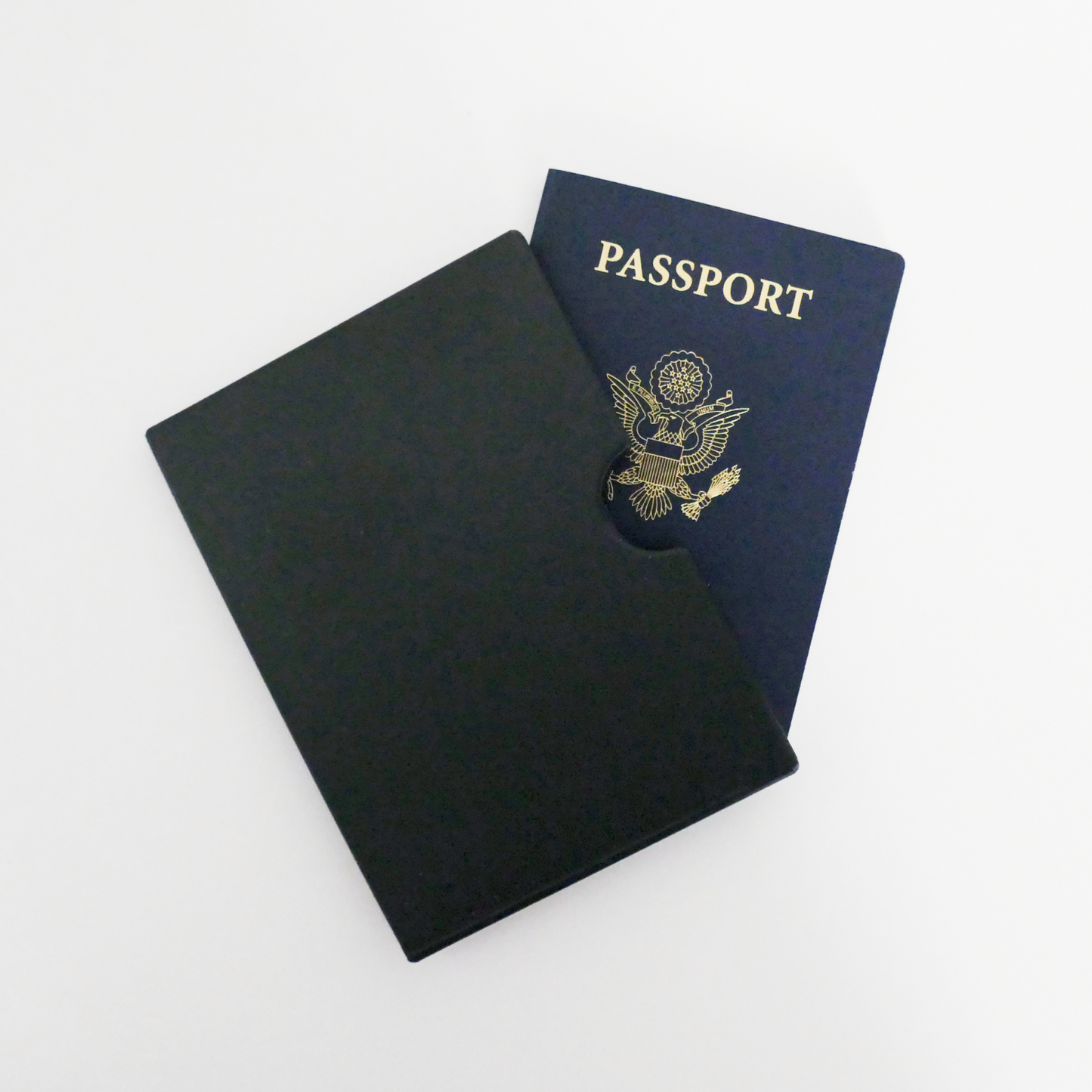 Passport Sleeve
